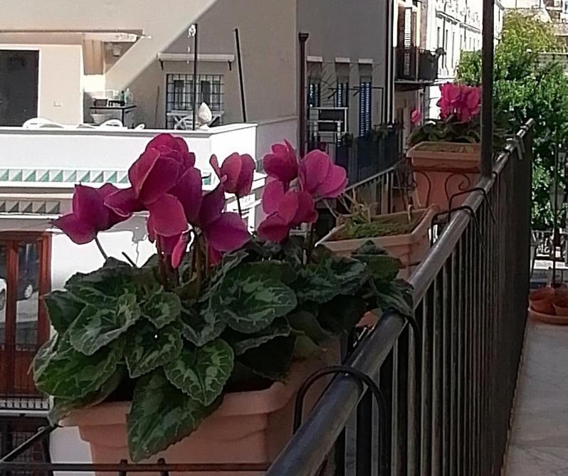 Calimero Luxury Suite Palermo Kültér fotó